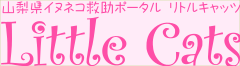 LittleCatsへリンク