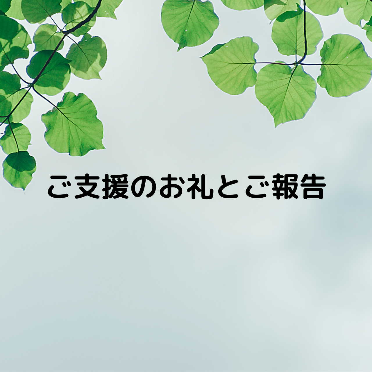 ご支援のお礼とご報告