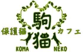 保護猫カフェ駒猫