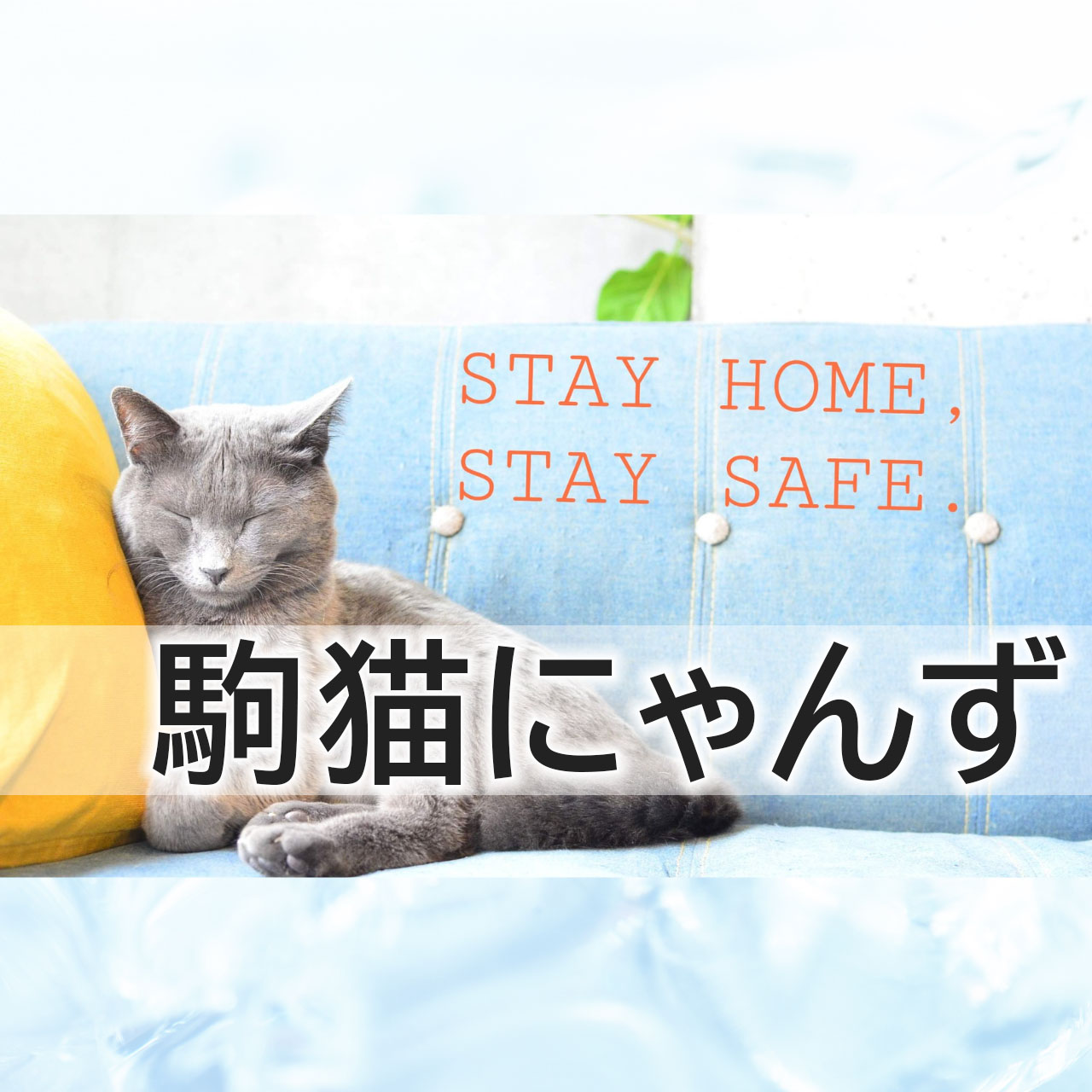 駒猫であなたをお待ちしているにゃんず